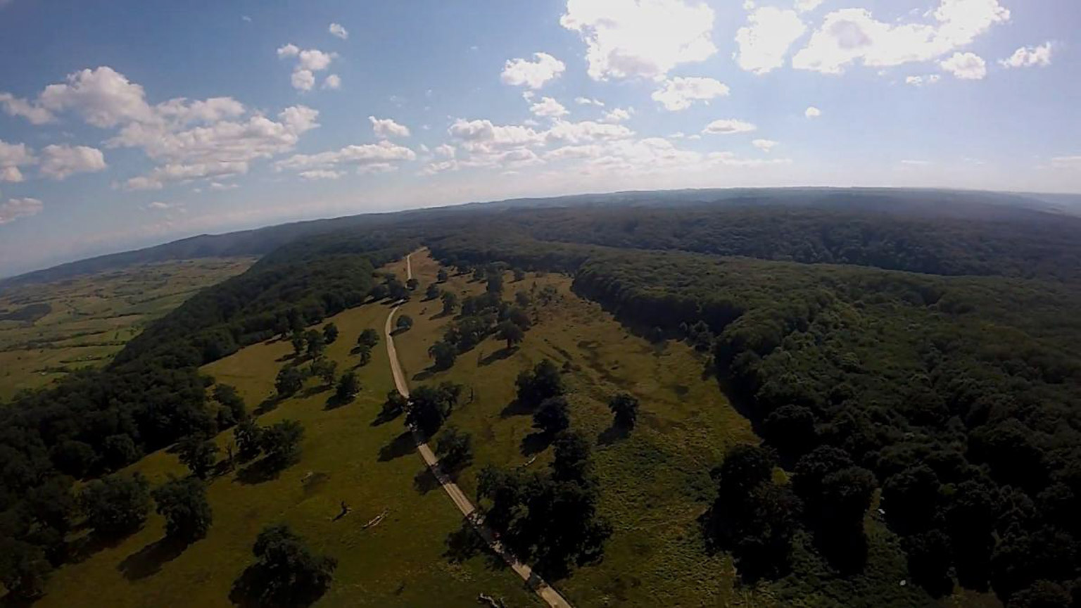 Stejarii seculari de la Breite Sighișoara