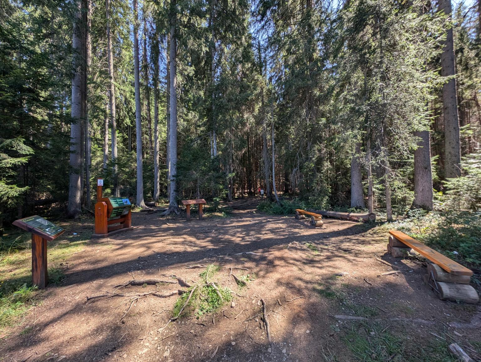 Tinovul Mare Poiana Stampei