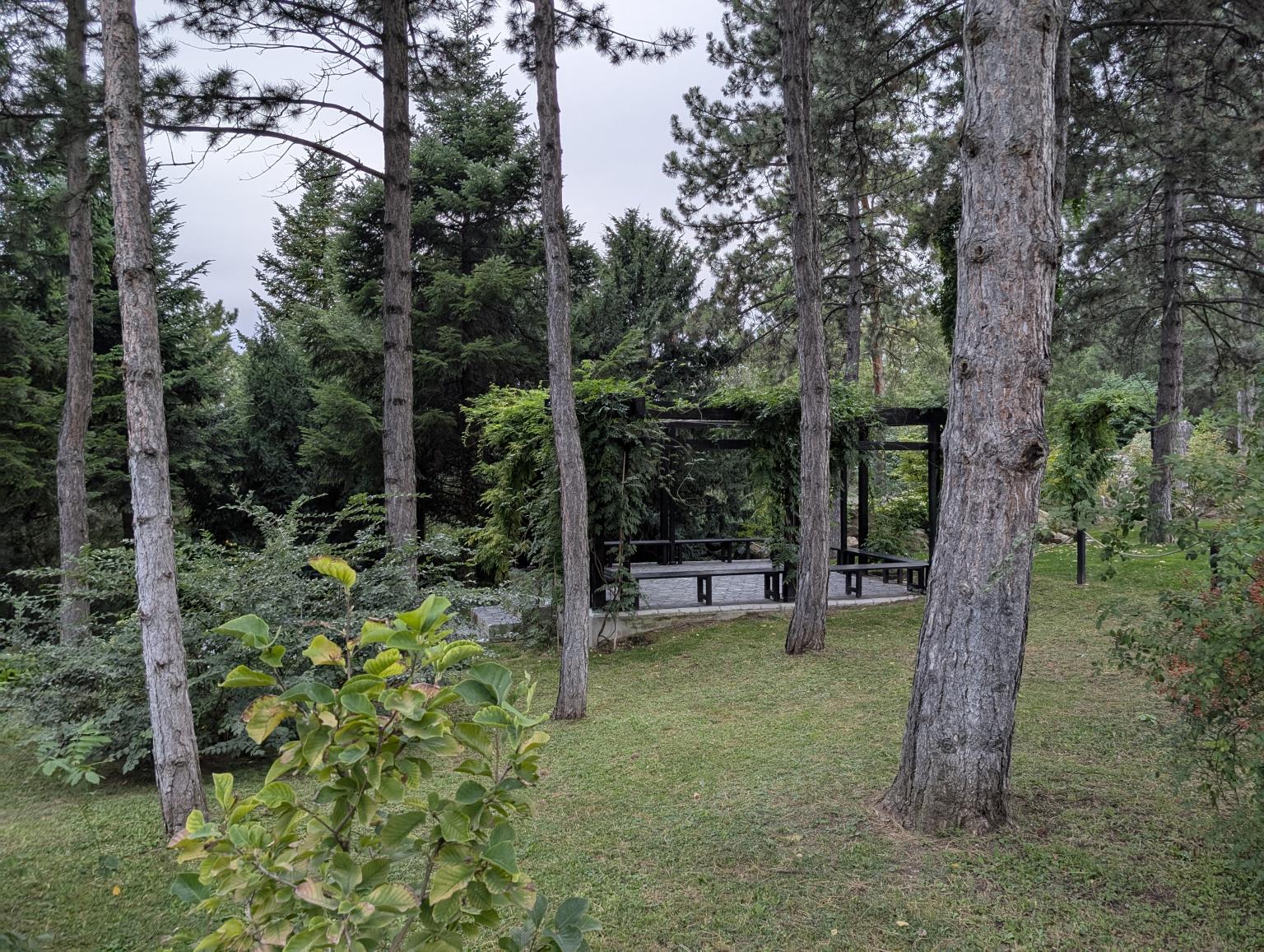 Grădina Botanică Anastasie Fătu