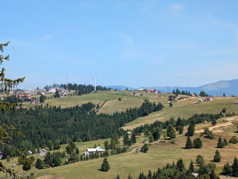 Pasul Tihuța