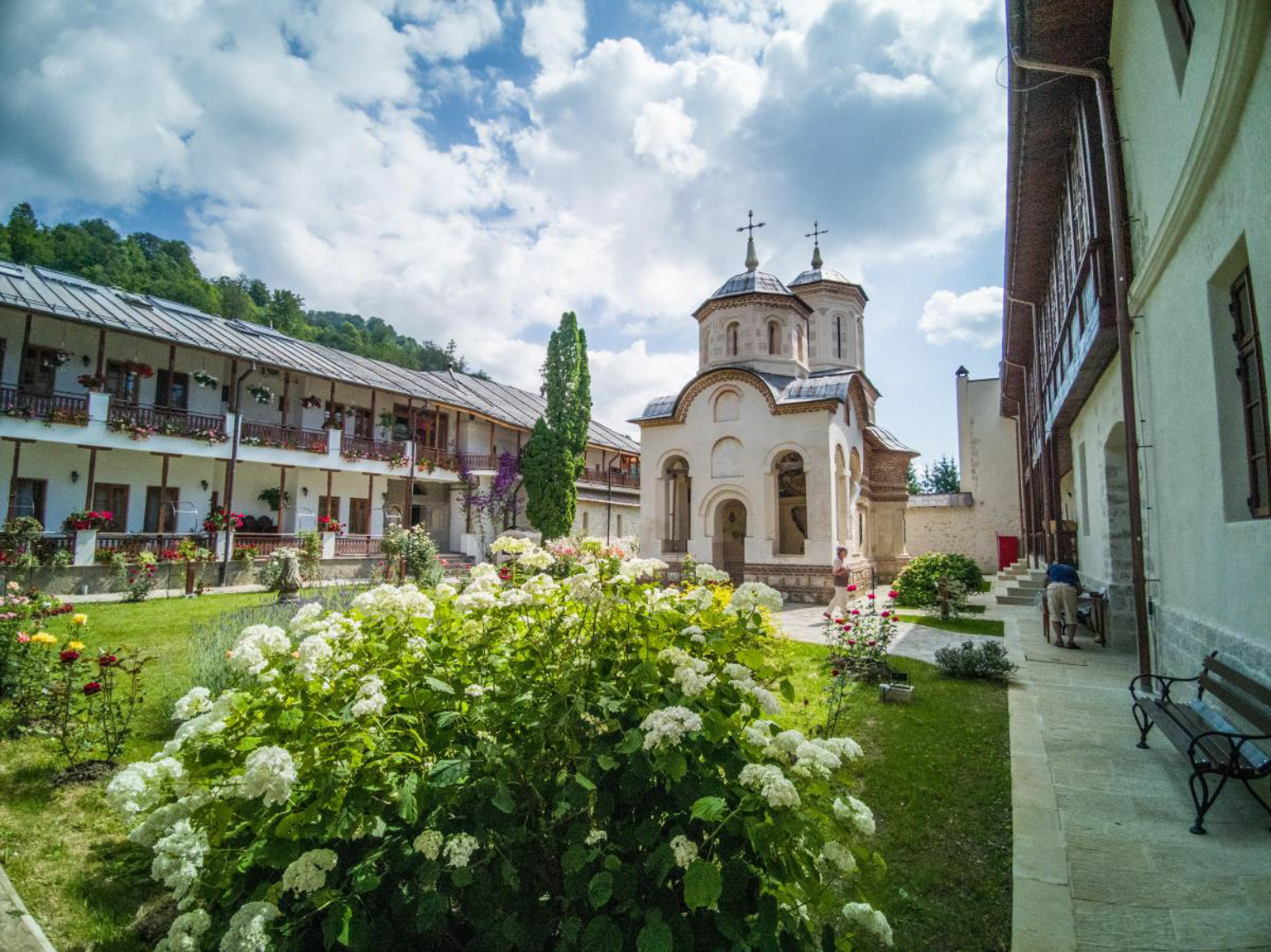 Mănăstirea Arnota
