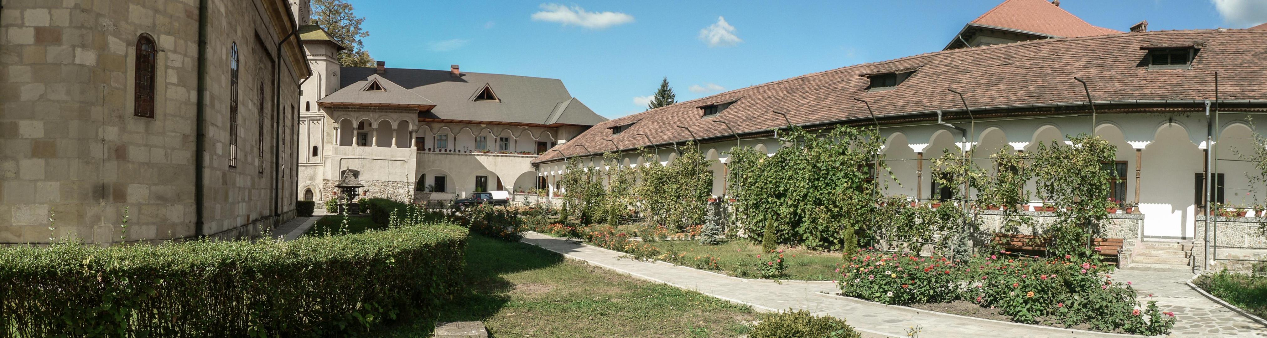 Mănăstirea Negru Vodă