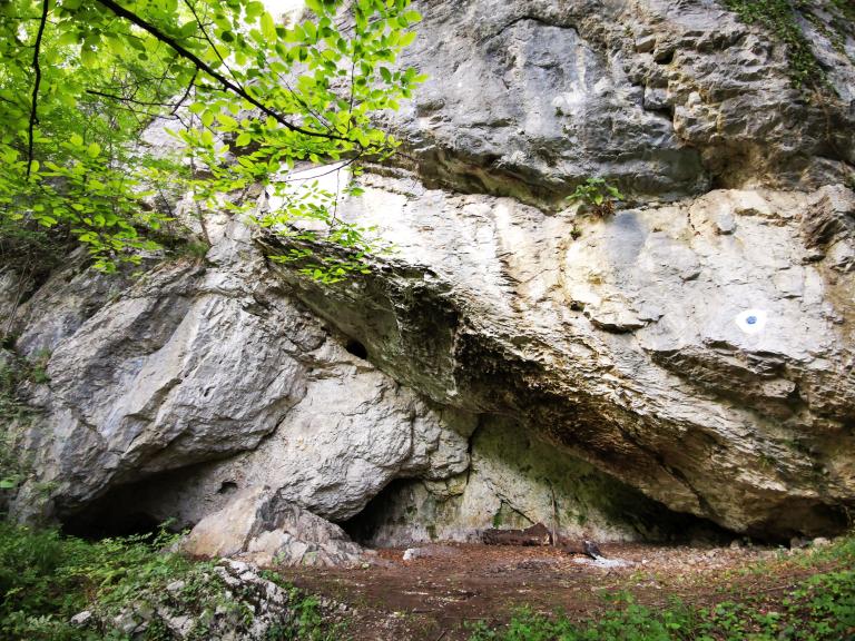 Peștera lui Săbăreanu