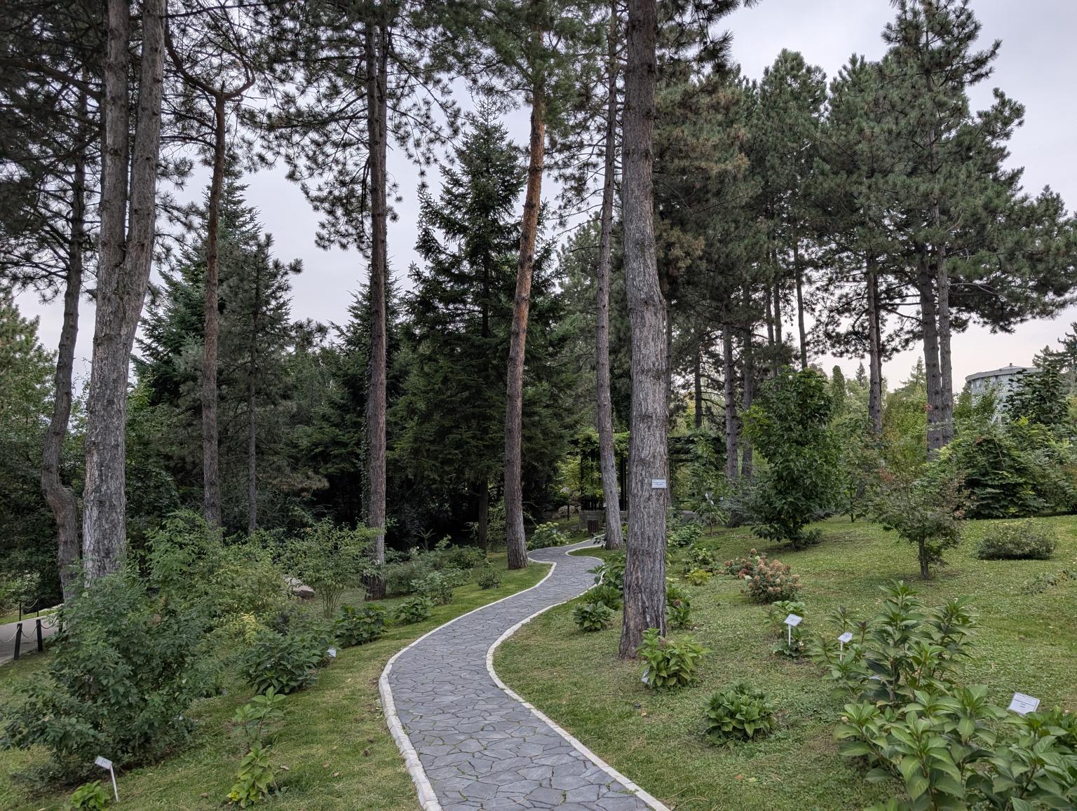 Grădina Botanică Anastasie Fătu