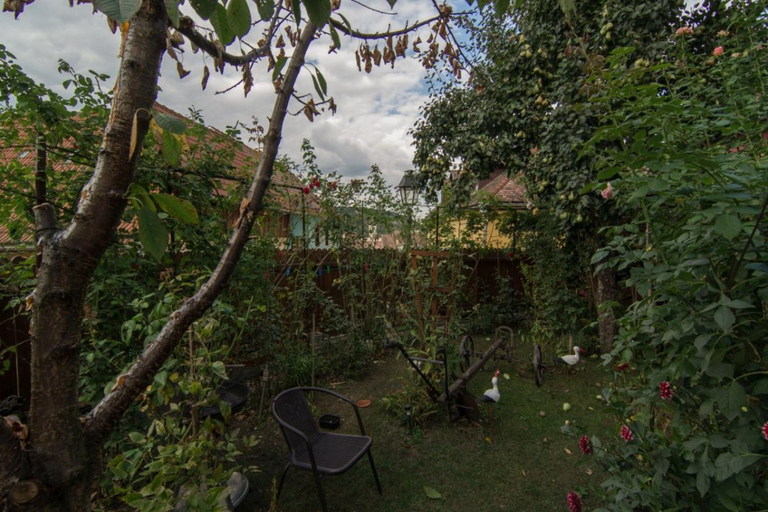 Sighișoara Pensiunea Cristina și Pavel (Casa Leonhardt) în gradină