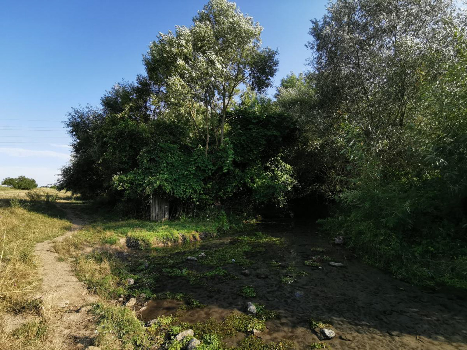 Microcanionul în bazalt de la Hoghiz