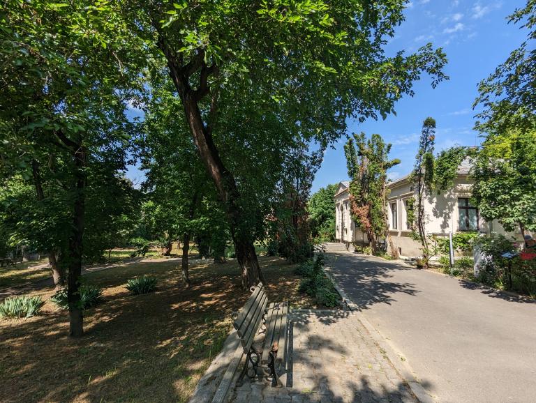 Casa Petru Poni
