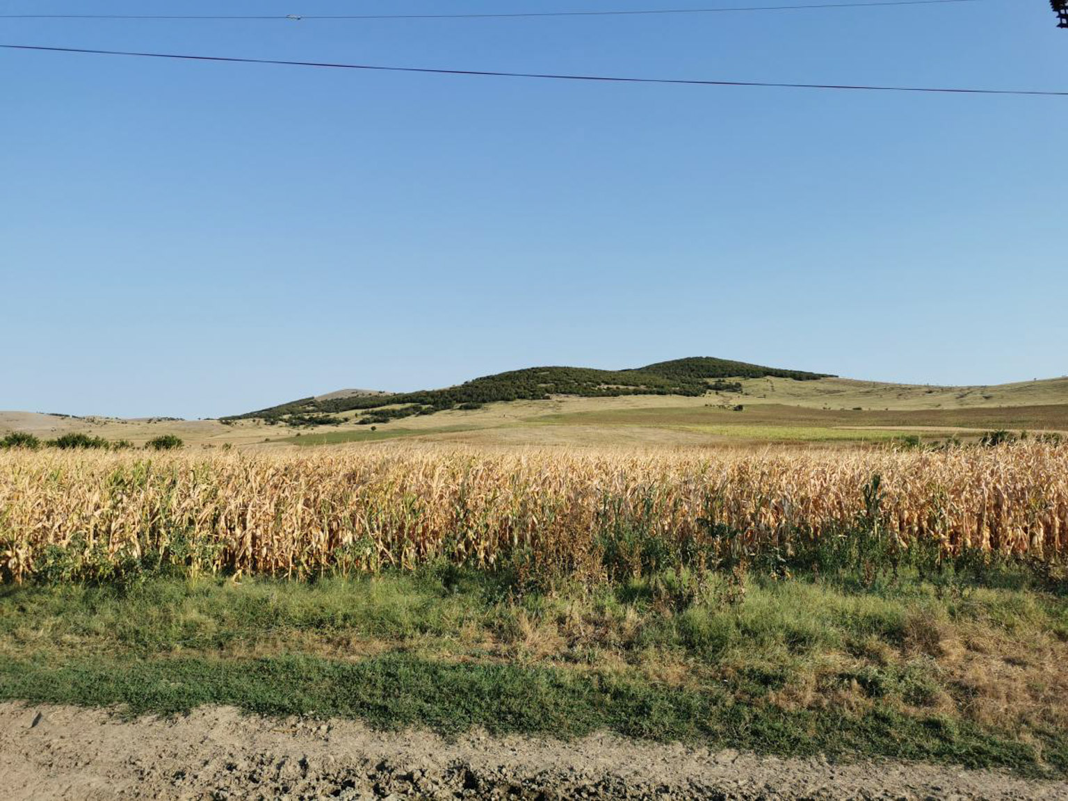 Podișul Nord Dobrogean