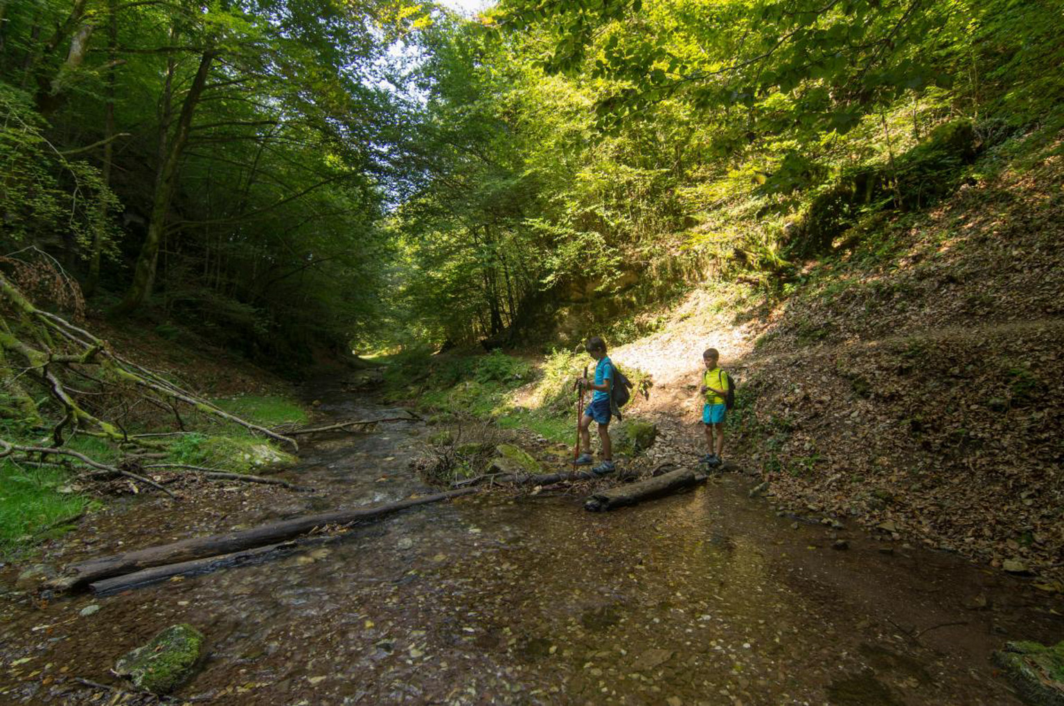 Valea Sighiștelului
